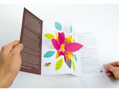 Thiết kế Brochure với ý tưởng mới
